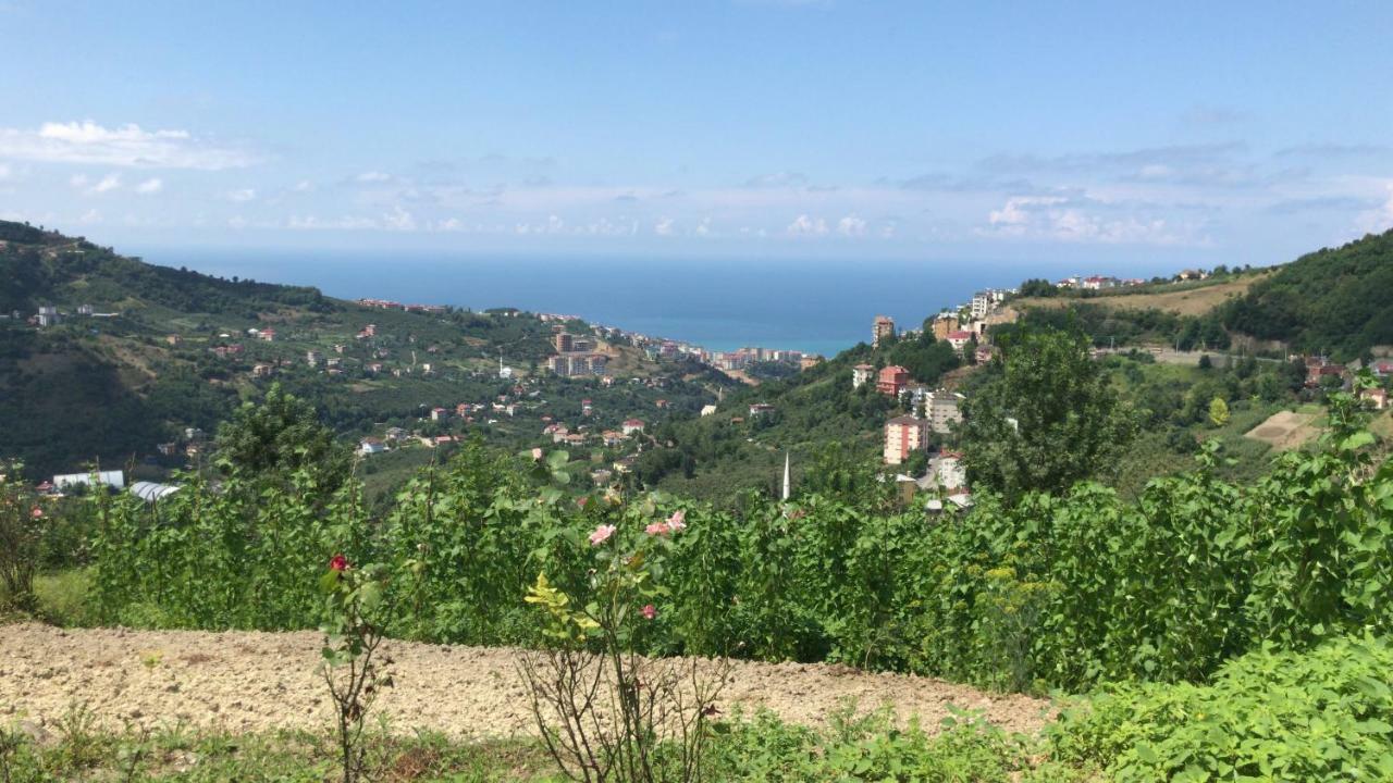 Sea&Nature Villa Hisar Trabzon Esterno foto