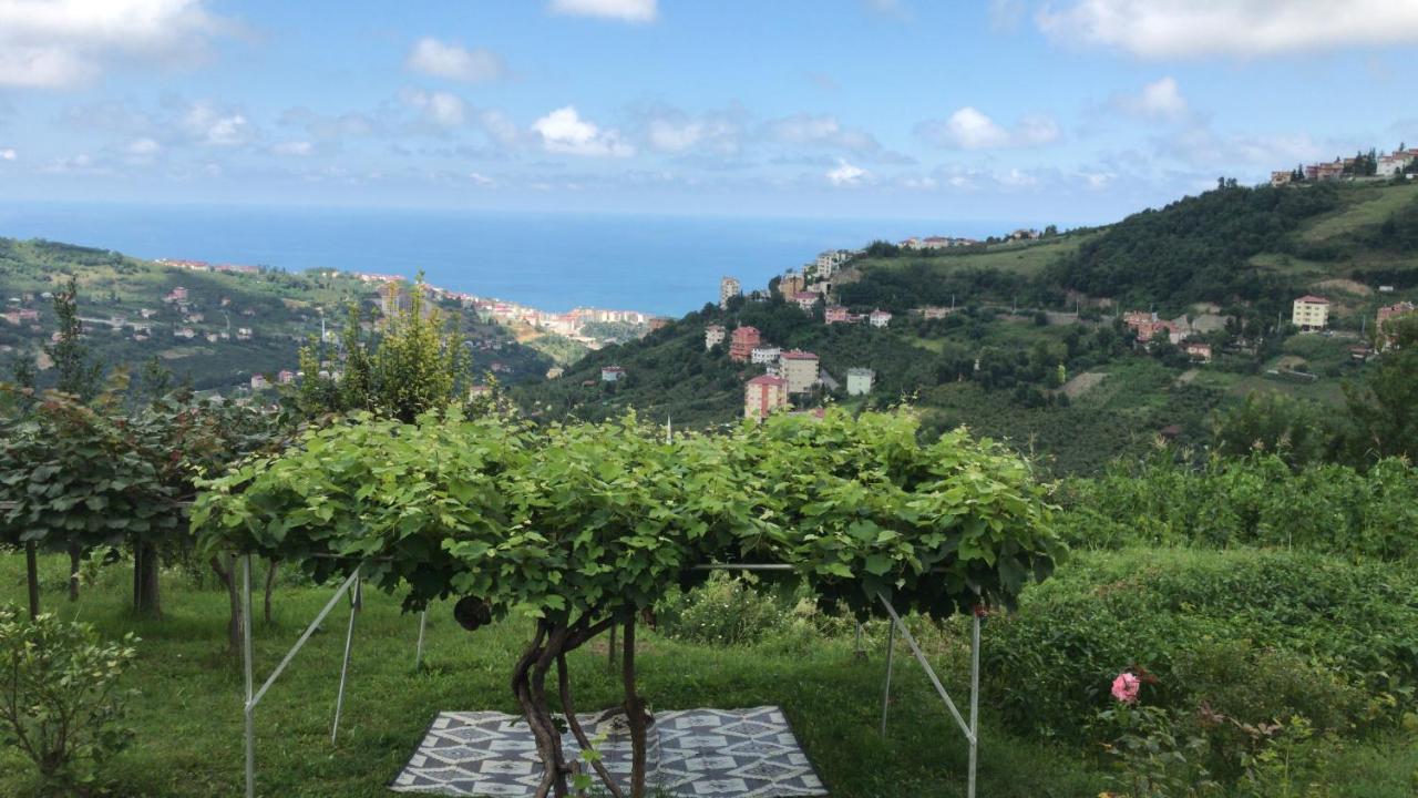 Sea&Nature Villa Hisar Trabzon Esterno foto
